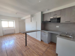 Appartement rénové en Location à St-etienne / 22m2